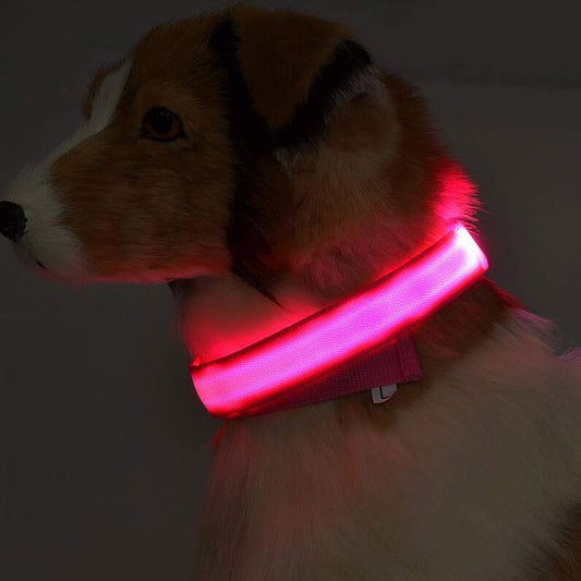 Lichtgevende Halsband | veilig op pad met uw hond
